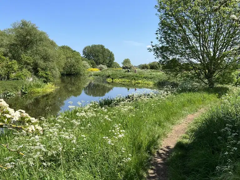 Scenic Walks